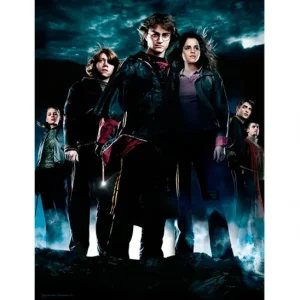 Affiche en verre Harry Potter et la coupe de feu Harry Potter