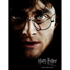 Affiche en verre Harry Potter