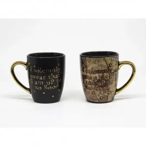 Mug Thermoréactif Je jure solennellement Harry Potter